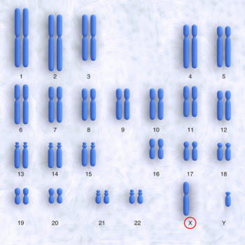 How it is transmitted – Blue Cone Monochromacy